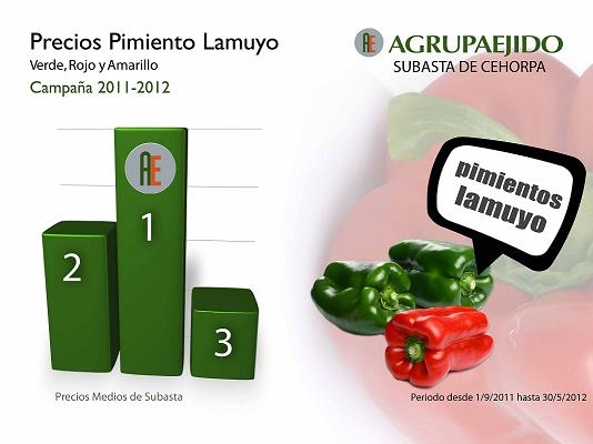 Foto Noticia